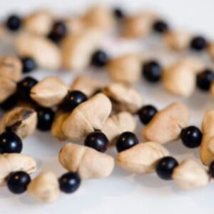 Simple Heart Seed Necklace