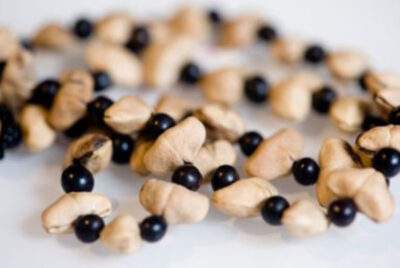 Simple Heart Seed Necklace