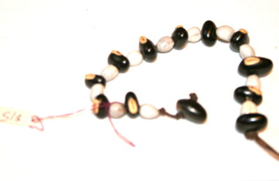 White Seed Bracelet