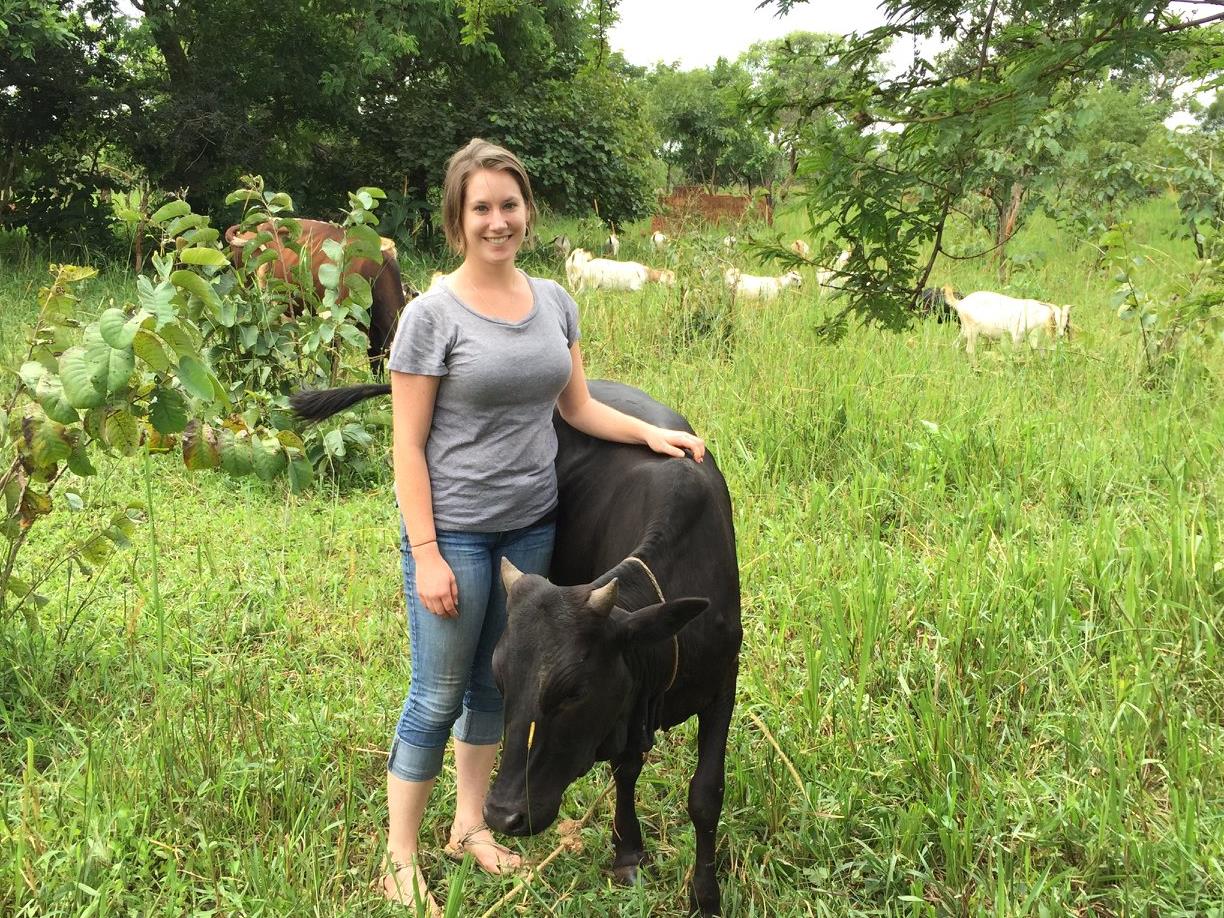 Paige and cow